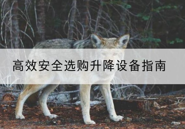 五常升降货梯厂家推荐-*安全选购升降设备指南