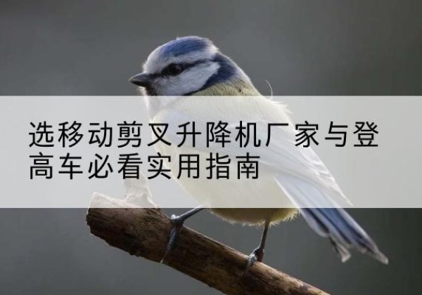 五常电动升降机厂家-选移动剪叉升降机厂家与登高车必看实用指南